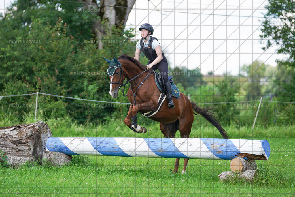 20240622-FAH07032 | Turnierfotografen Bayern, Reitsportbilder aus dem Geländekurs mit Felix Etzel auf dem Gut Waitzacker 2024