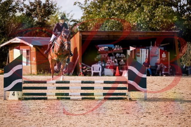 2026_10_03_Siefer-Hof_155604_Z81_75311597 | Professionelle Reitsport-, Turnier- und Eventfotografie von Robert Broda. Galerien mit ausgewählten und bearbeiteten Bildern direkt online ansehen und bestellen.
