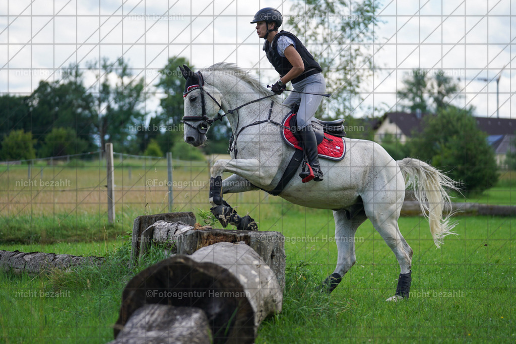 20240622-FAH07689 | Turnierfotografen Bayern, Reitsportbilder aus dem Geländekurs mit Felix Etzel auf dem Gut Waitzacker 2024