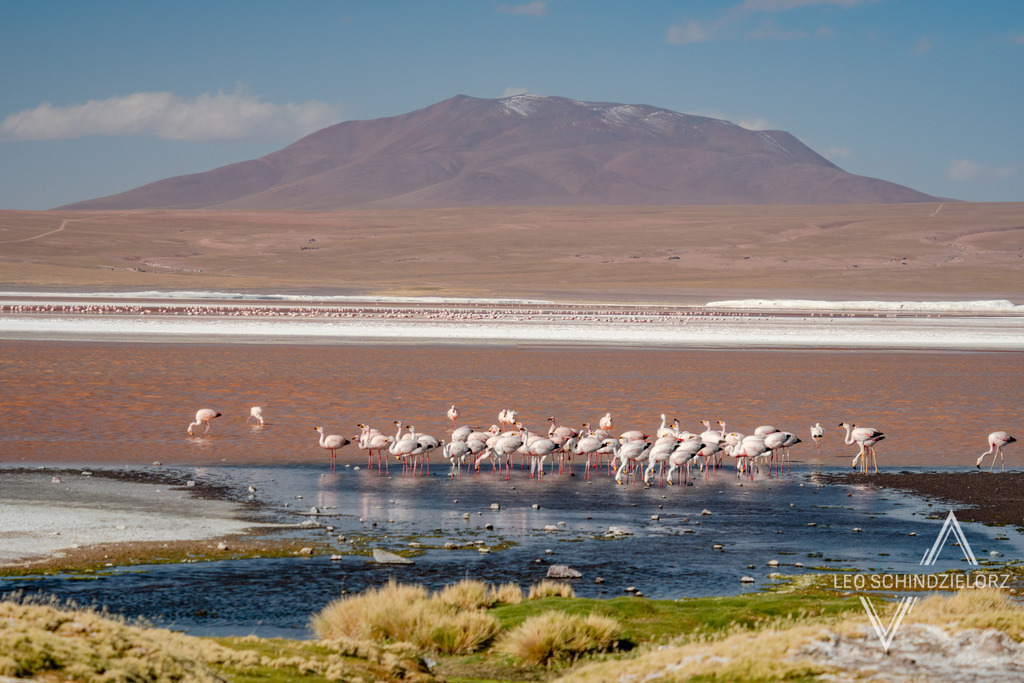 08_Fotografie_Leo_Schindzielorz_BOL_Uyuni_20240414__A650264_org | Atmosphärische Landschaftsbilder & Drohnenaufnahmen aus dem Allgäu, Tirol, Südtirol & der Schweiz – ideal für Leinwanddrucke & zur stilvollen Raumgestaltung. - Realisiert mit Pictrs.com
