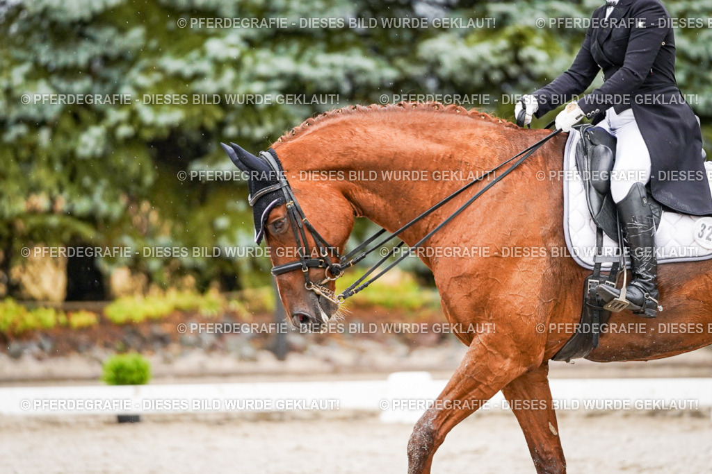 DSC09527 | Pferdegrafie