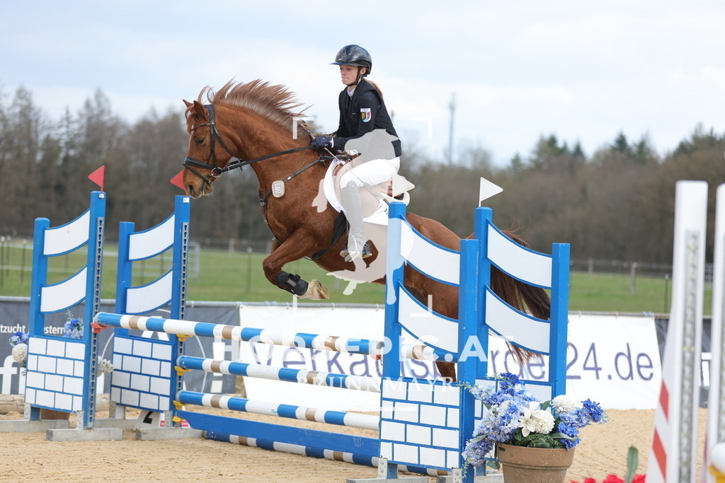 0P6A8097 | Willkommen bei Brunnmayr - Design & Fotografie – Ihrem Spezialisten für Reitturniere und Pferdeveranstaltungen in Oberösterreich, Salzburg und Bayern! Seit über 17 Jahren sind wir leidenschaftlich dabei.