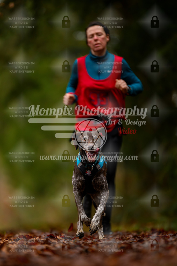 MompixPhotography_2SSTSSBW_2025_SO_Canicross-37 | PayLife