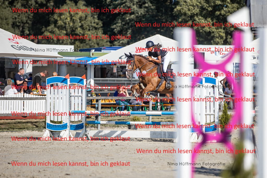 BK1A7319 | Turnierbilder Turnierfotos Nina Hüffmann Turnierfotografie Pferdefotografie Tierzeichnung Haustierzeichnung Pferdezeichnung Hundezeichnung Videograf  - Realisiert mit Pictrs.com