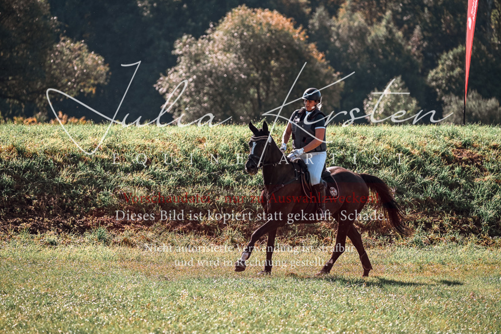 DSC_0576 | Pferde- und Turnierfotografie in Westsachsen. Pferdeportraits, Auftragszeichnungen und intuitive Kunst.