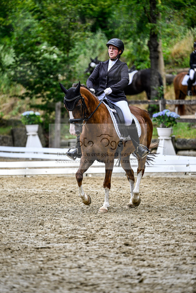 Bissendorfer Reitertage | Entdecke hochwertige Reitturnierfotos von Foto Oger. Professionell, emotional und authentisch – jetzt Lieblingsmomente im Shop bestellen. - Realisiert mit Pictrs.com