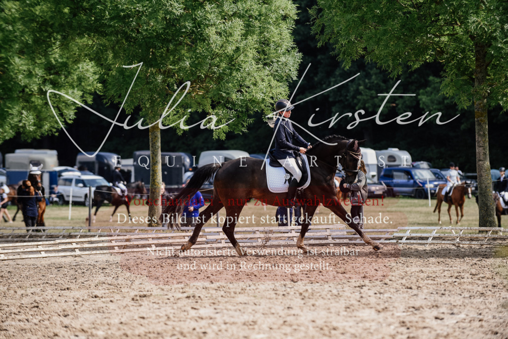 DSC_0116 | Pferde- und Turnierfotografie in Westsachsen. Pferdeportraits, Auftragszeichnungen und intuitive Kunst.