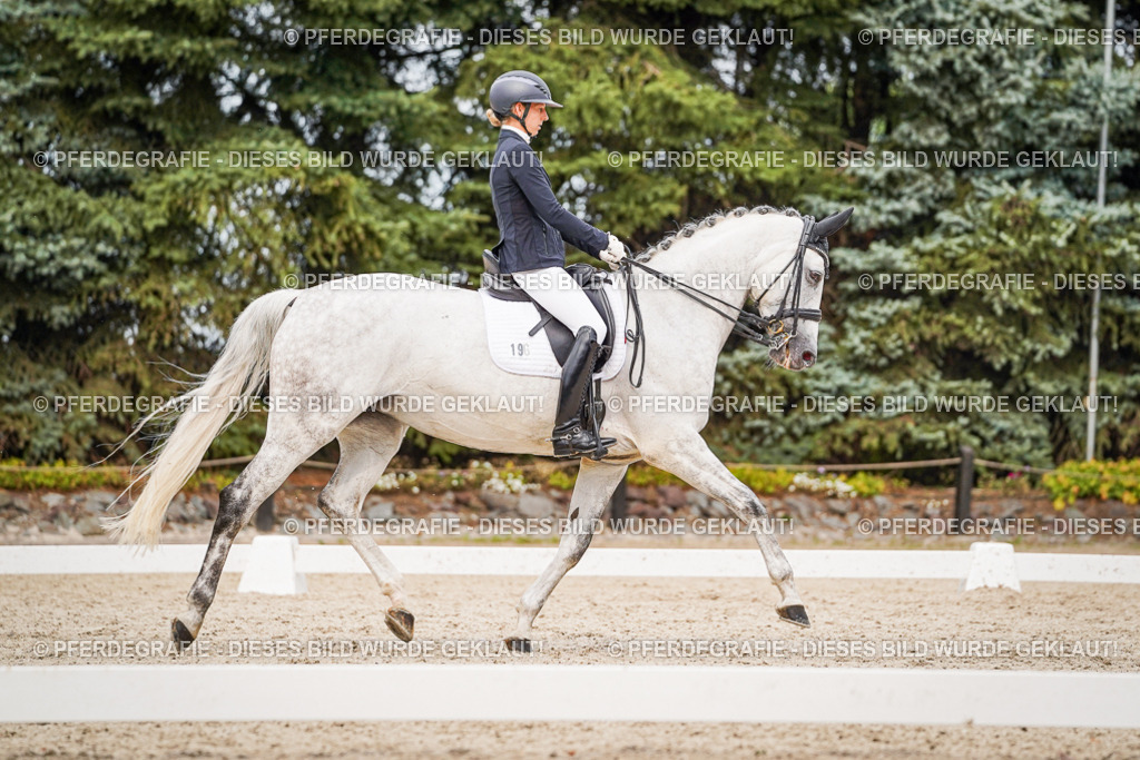 DSC07722 | Pferdegrafie