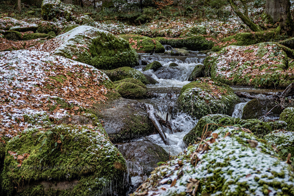 P1660200 | beatekidd-fotografie - Realisiert mit Pictrs.com
