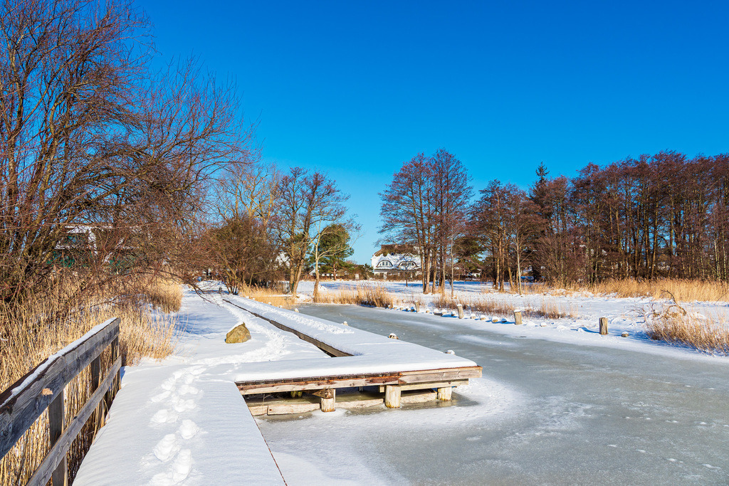 Steg am Bodden bei Wieck auf dem Fischland-Darß im Winter | Steg am Bodden bei Wieck auf dem Fischland-Darß im Winter.