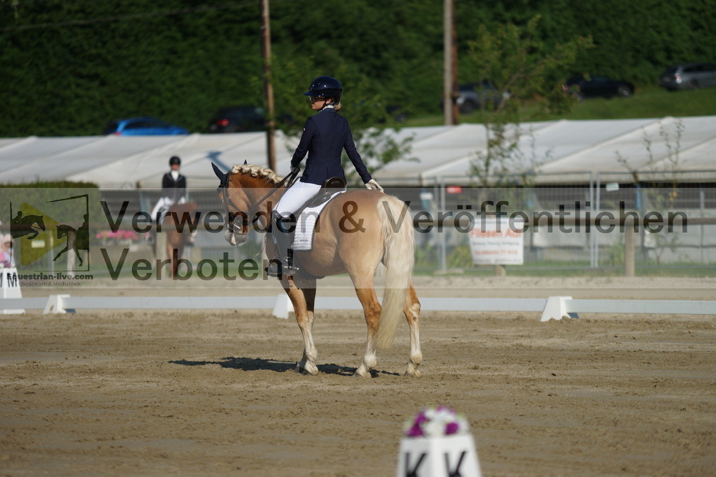 DSC04120 | equestrian-live-com