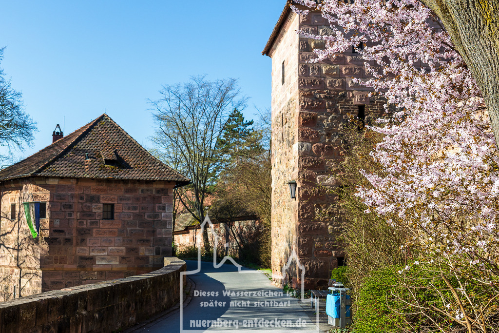Frühlingsanfang in Nürnberg, 28.03.2025 | Frühling in Nürnberg: Blühender Strauch an der Stadtmauer nahe dem Laufertorgraben. Die Aufnahme zeigt einen historischen Wehrturm, umgeben von frischem Grün und ersten Blüten. - Realisiert mit Pictrs.com