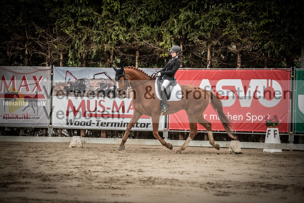 DSC_0159 | equestrian-live-com