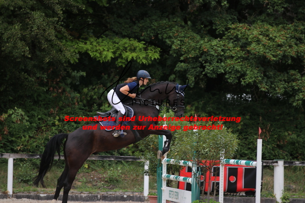 IMG_2204 | lmwpictures - Realisiert mit Pictrs.com