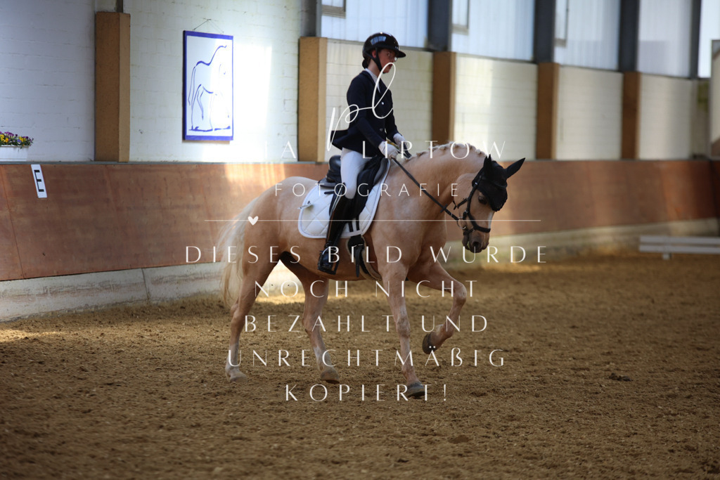 IMGT4926 | pl-fotografie