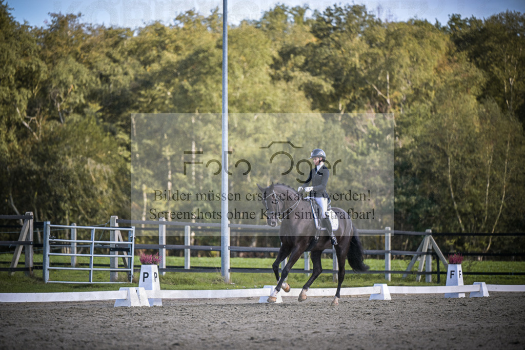 DOS_4314 | Entdecke hochwertige Reitturnierfotos von Foto Oger. Professionell, emotional und authentisch – jetzt Lieblingsmomente im Shop bestellen.Deutschlandweite Turnierfotografie. - Realisiert mit Pictrs.com