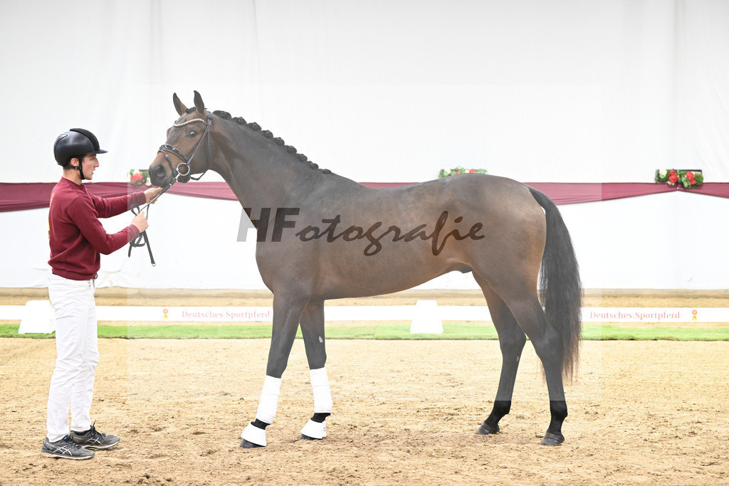 Kat-Nr. 123 Elastic x Belissimo M_Limbecker GnbH u Co. KG_47254050 | hf-fotografie - Realisiert mit Pictrs.com