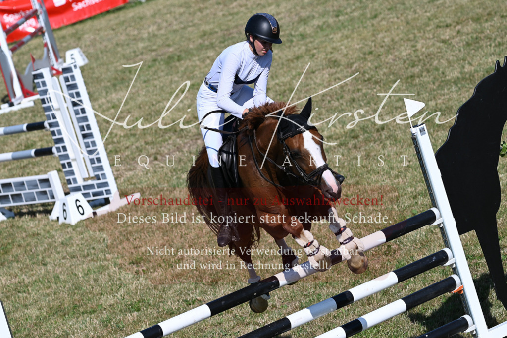 DSC_2293 | Pferde- und Turnierfotografie in Westsachsen. Pferdeportraits, Auftragszeichnungen und intuitive Kunst.