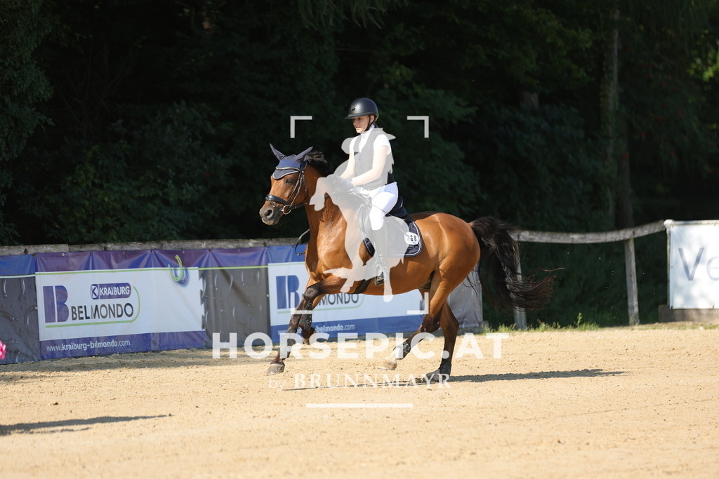 0P6A5026 | Willkommen bei Brunnmayr - Design & Fotografie – Ihrem Spezialisten für Reitturniere und Pferdeveranstaltungen in Oberösterreich, Salzburg und Bayern! Seit über 17 Jahren sind wir leidenschaftlich dabei.