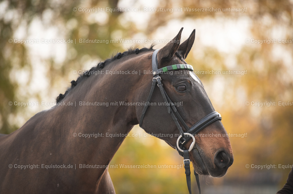 20251114_Boyd-Exell_TOMSPIC_0041 | Foto: Thomas Hartig