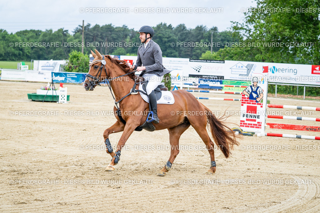 DSC03648 | Pferdegrafie