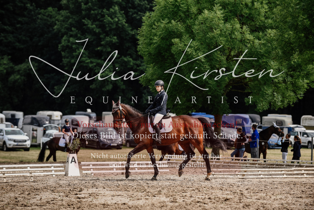 DSC_9596 | Pferde- und Turnierfotografie in Westsachsen. Pferdeportraits, Auftragszeichnungen und intuitive Kunst.