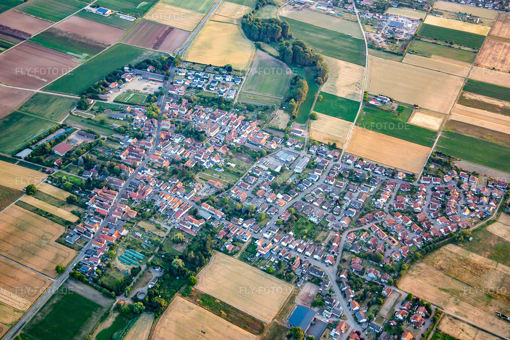 Luftbild: Ortsansicht von Nordosten in Knittelsheim im Bundesland Rheinland-Pfalz in Deutschland. Foto: IMG_137271.jpg vom 24.06.2023 durch Werner Riehm/FLY-FOTO.de