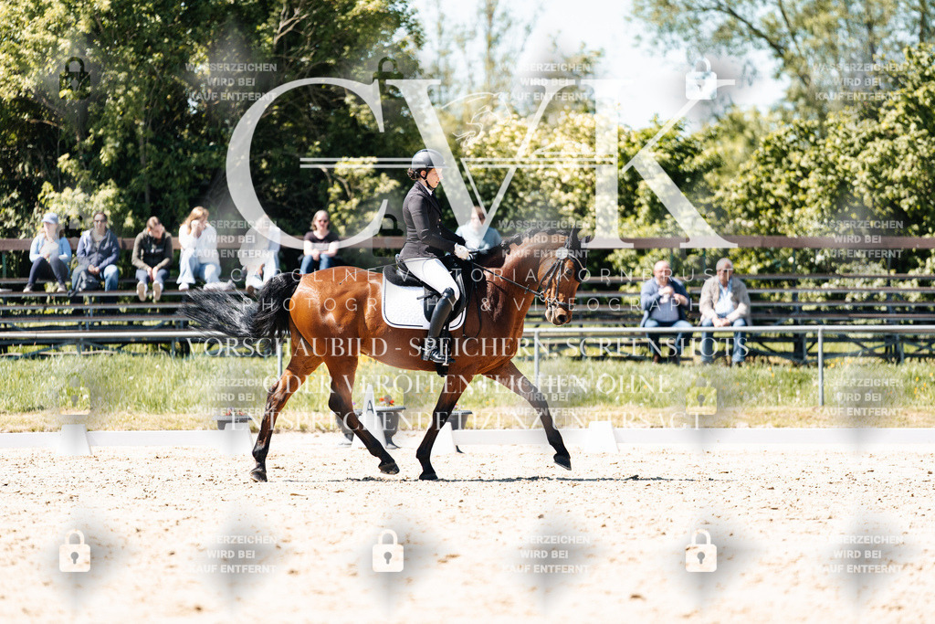 CK905929 | Turnierfotografie Pferdefotografie Trier Rheinland-Pfalz Pferdesport Reitsport Tierfotografie Sportfotografie Pferdevideo Pferdevideografie Equestrianvideography equestrianphotography  - Realisiert mit Pictrs.com