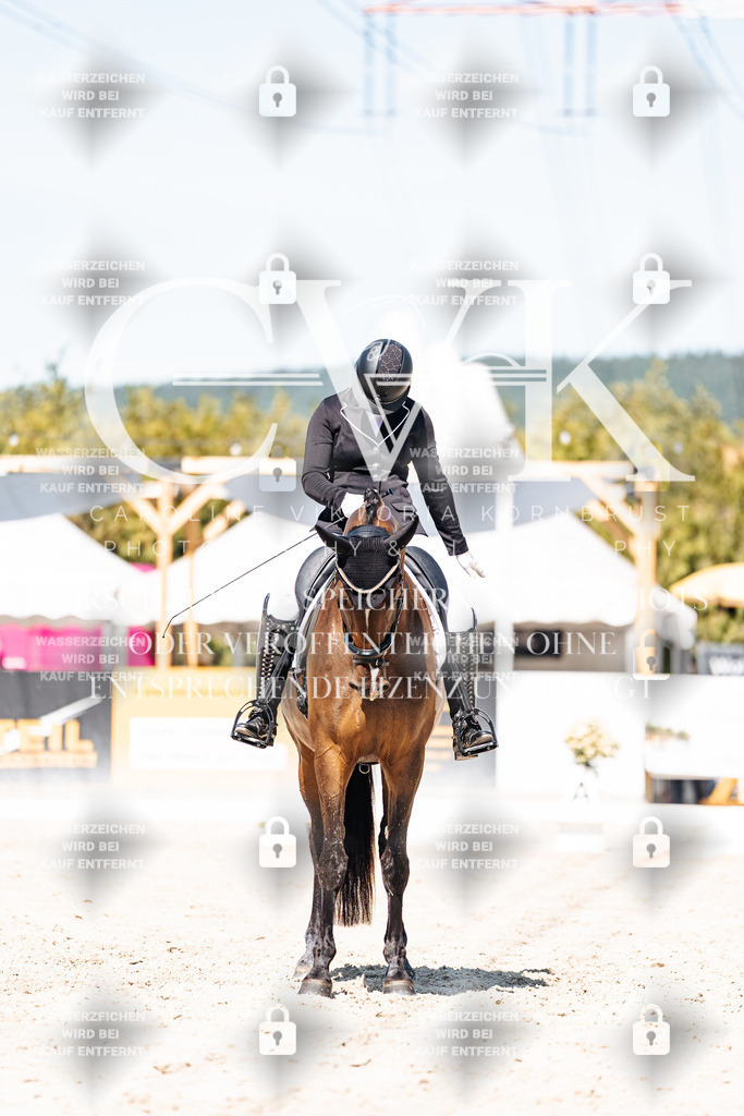 CK909848 | Turnierfotografie Pferdefotografie Trier Rheinland-Pfalz Pferdesport Reitsport Tierfotografie Sportfotografie Pferdevideo Pferdevideografie Equestrianvideography equestrianphotography  - Realisiert mit Pictrs.com