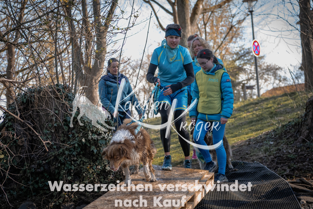 0828_ZZ91103 | kk-dogfotos