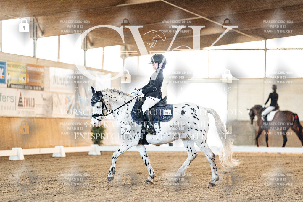 CK906434 | Turnierfotografie Pferdefotografie Trier Rheinland-Pfalz Pferdesport Reitsport Tierfotografie Sportfotografie Pferdevideo Pferdevideografie Equestrianvideography equestrianphotography  - Realisiert mit Pictrs.com