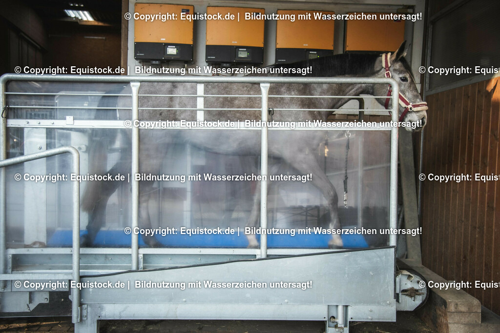 20200118_Laufband_0020 | Foto: Thomas Hartig