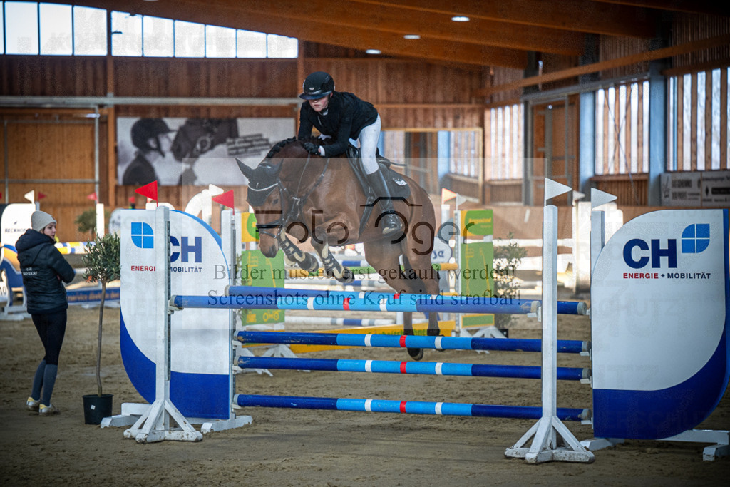 DOS_0698 | Entdecke hochwertige Reitturnierfotos von Foto Oger. Professionell, emotional und authentisch – jetzt Lieblingsmomente im Shop bestellen.Deutschlandweite Turnierfotografie. - Realisiert mit Pictrs.com