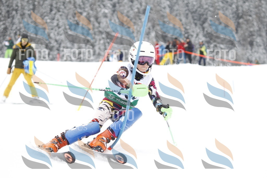 A2054 | holidayphoto