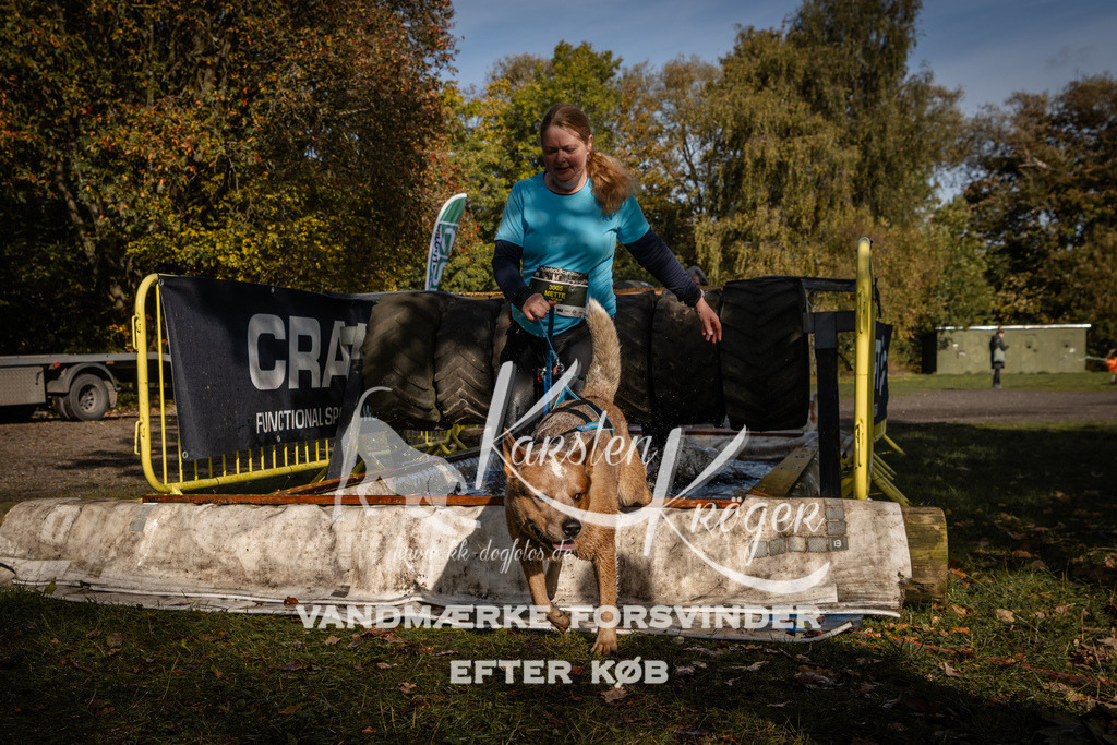 1157_ZZ93916 | kk-dogfotos