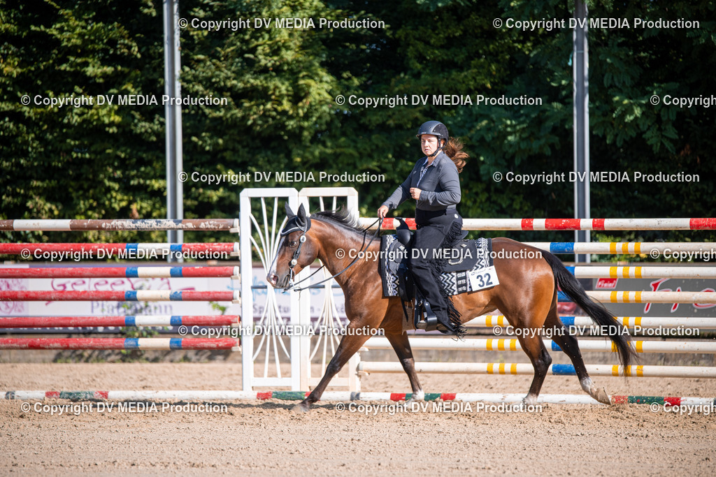 ZS1_0779 | dv-media-shop - Realisiert mit Pictrs.com