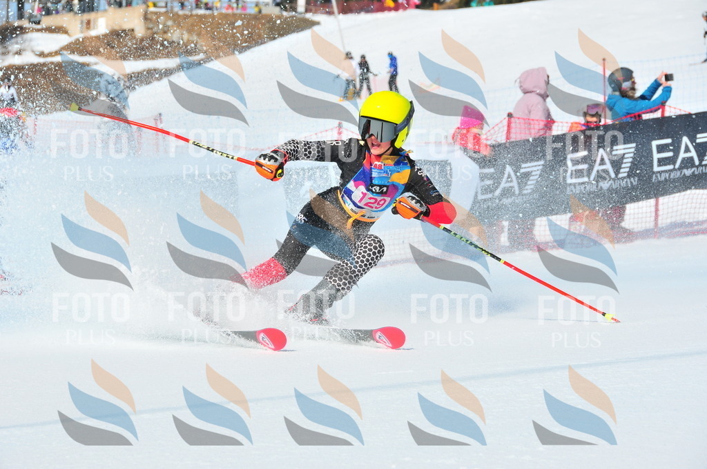 DSC_4867 | holidayphoto