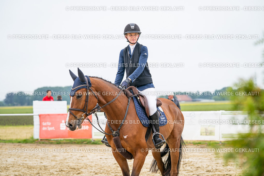 DSC09836 | Pferdegrafie