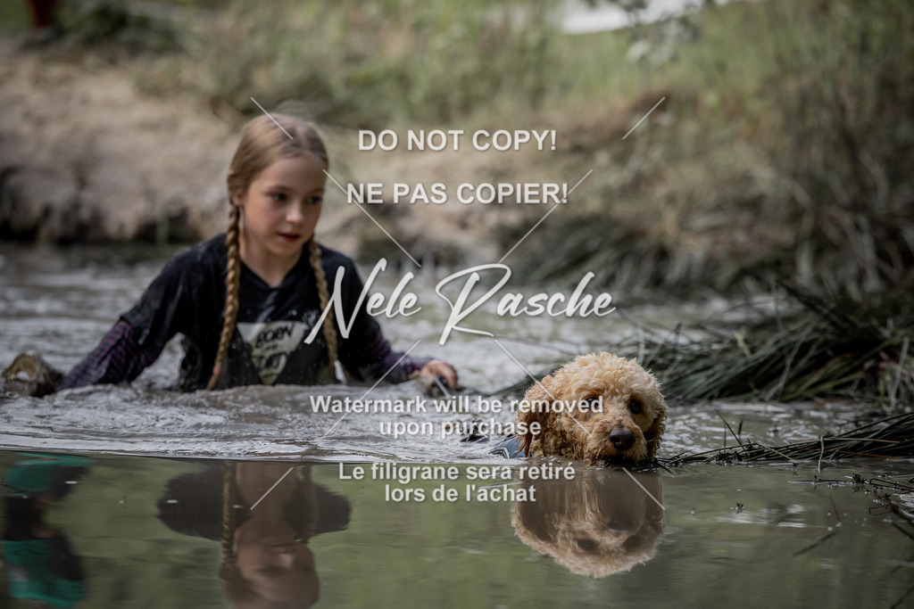 nelerasche_so0800-0930_47 | nelerasche
