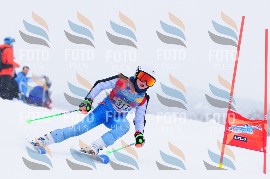 C3361 | holidayphoto