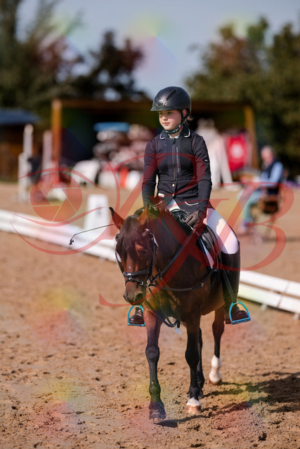 2026_10_03_Siefer-Hof_120518_Z81_07062847 | Professionelle Reitsport-, Turnier- und Eventfotografie von Robert Broda. Galerien mit ausgewählten und bearbeiteten Bildern direkt online ansehen und bestellen.