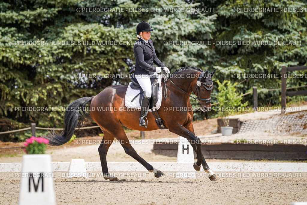 DSC02134 | Pferdegrafie