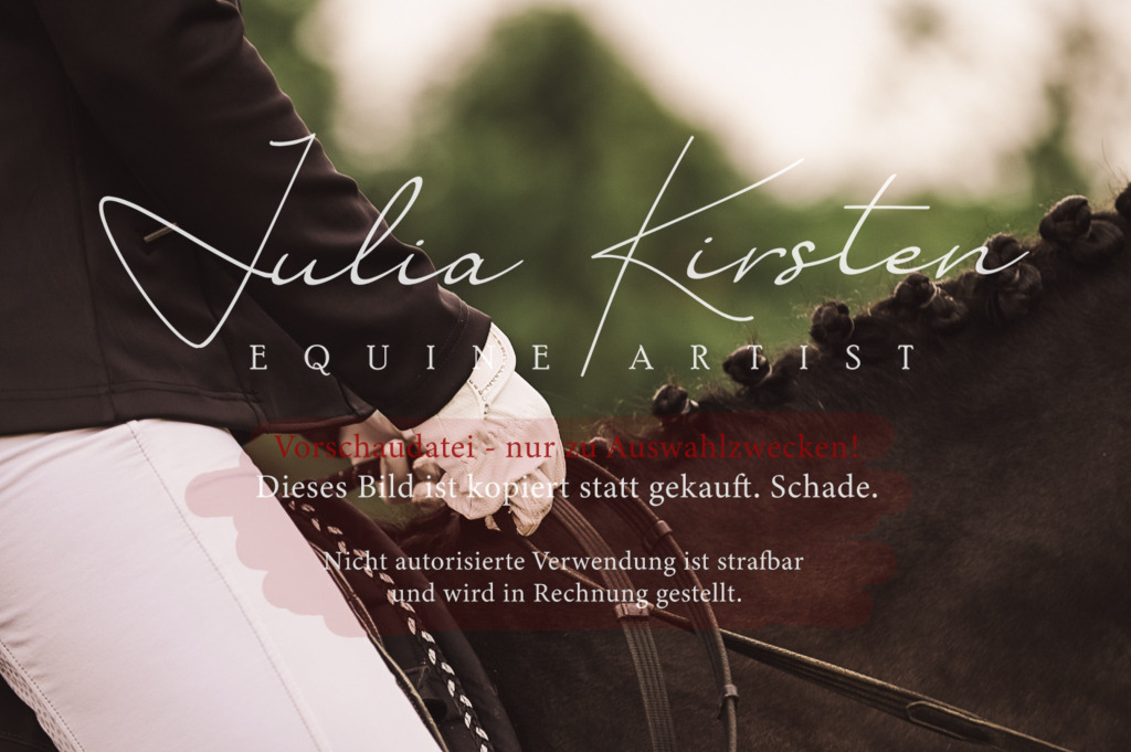 DSC_5083 | Pferde- und Turnierfotografie in Westsachsen. Pferdeportraits, Auftragszeichnungen und intuitive Kunst.