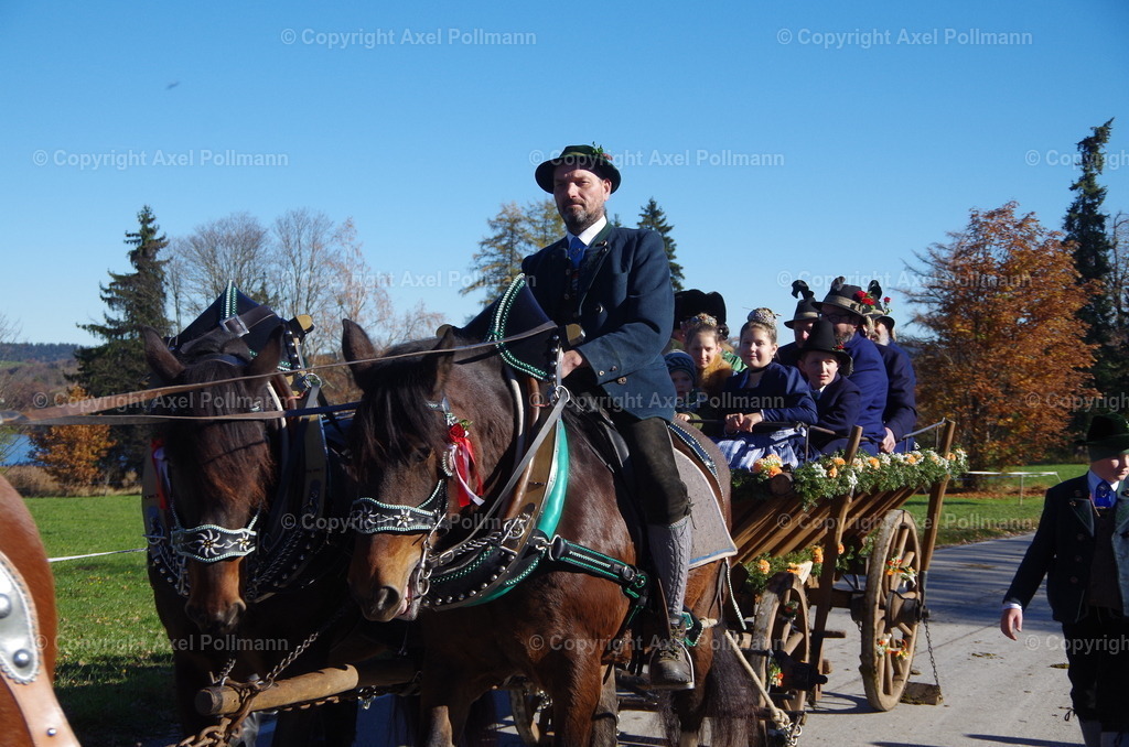 IMGP8130 | fotografiert von Axel PollmannLeonhardi Wallfahrt Benediktbeuern und Murnau, Fronleichnam, Fasching, Landschaft im Loisachtal und Benediktbeuern  - Realisiert mit Pictrs.com