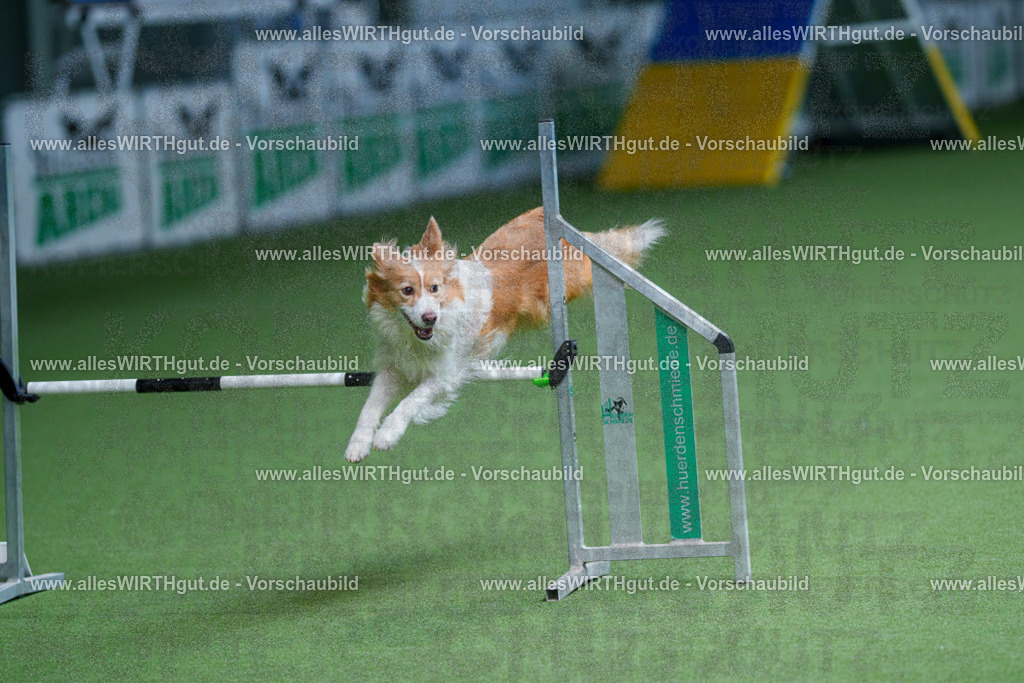 @allesWIRTHgut_Tierfotografie - www.allesWIRTHgut.de - 2604260920-7R507381 | Professionelle Tierfotografie in Mönchengladbach von Daniel Wirth (allesWIRTHgut). Liebevolle & natürliche Bilder von Hunden & Katzen für unvergessliche Erinnerungen.