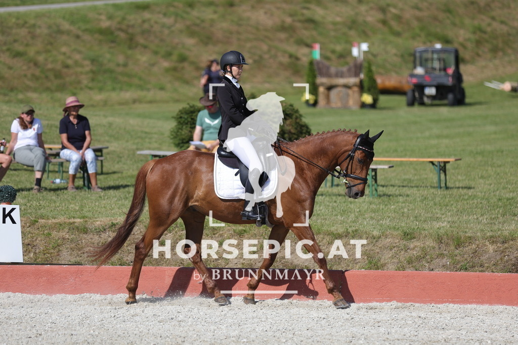 0P6A8079 | Willkommen bei Brunnmayr - Design & Fotografie – Ihrem Spezialisten für Reitturniere und Pferdeveranstaltungen in Oberösterreich, Salzburg und Bayern! Seit über 17 Jahren sind wir leidenschaftlich dabei.