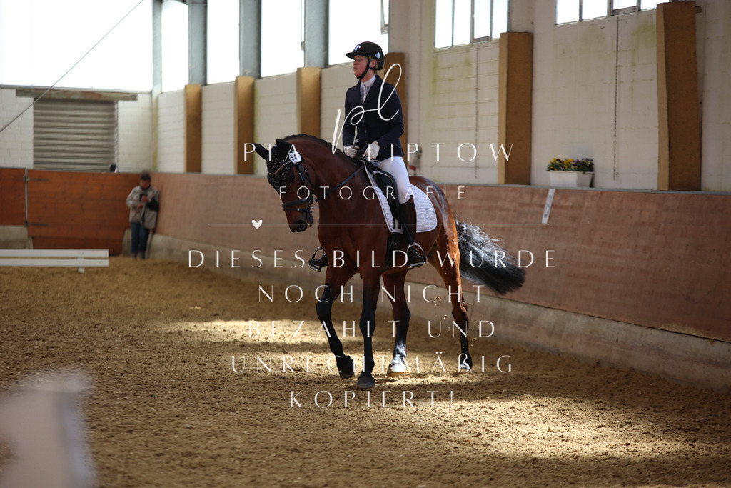 IMGT4257 | pl-fotografie