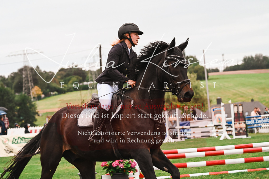 DSC_6295 | Pferde- und Turnierfotografie in Westsachsen. Pferdeportraits, Auftragszeichnungen und intuitive Kunst.