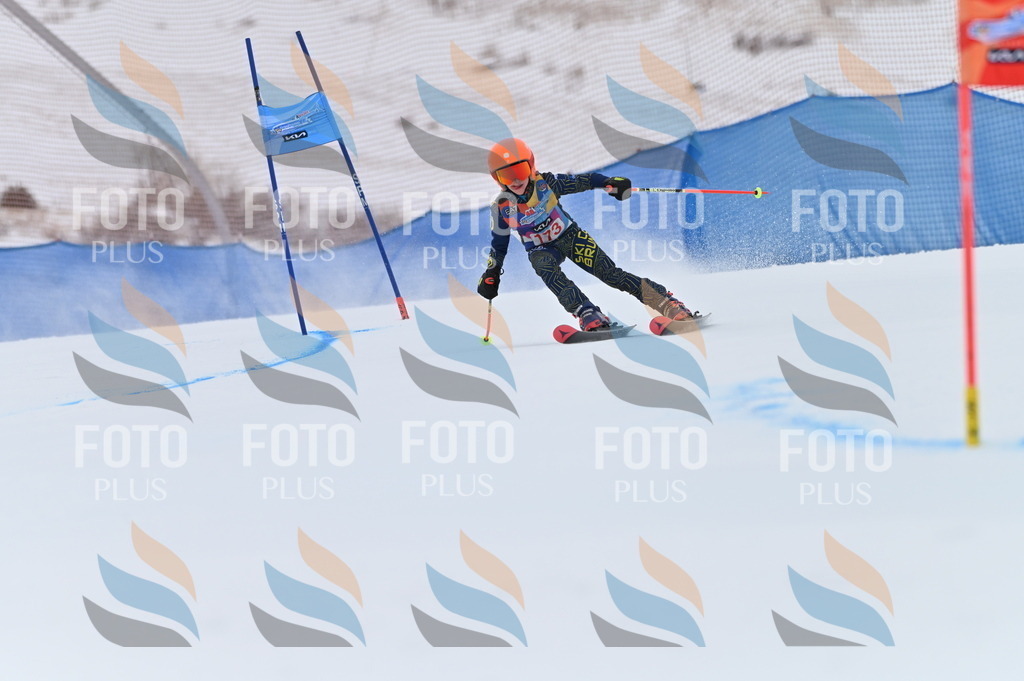 BGV_0740 | holidayphoto