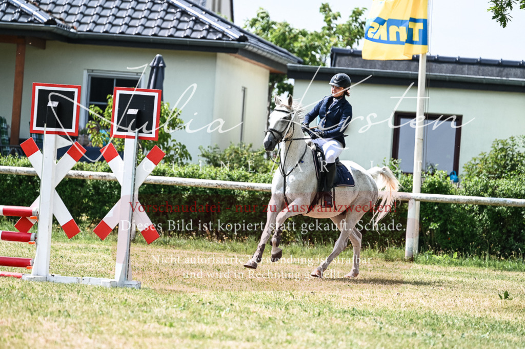DSC_9225 | Pferde- und Turnierfotografie in Westsachsen. Pferdeportraits, Auftragszeichnungen und intuitive Kunst.